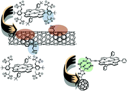 Graphical abstract: Multifunctional molecular carbon materials—from fullerenes to carbon nanotubes