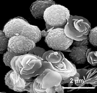 Graphical abstract: Unexpected enhanced activity catalysts for butane oxidation using mixtures derived from VOHPO4·0.5H2O and AlPO4