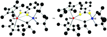 Graphical abstract: Samarium versus aluminium Lewis acidity in a mixed alkyl carboxylate complex related to alkylaluminium activation in diene polymerization catalysis