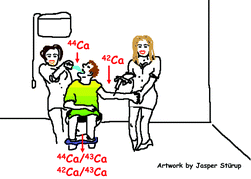 Graphical abstract: Optimisation of dynamic reaction cell (DRC)-ICP-MS for the determination of 42Ca/43Ca and 44Ca/43Ca isotope ratios in human urine