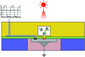Graphical abstract: Integrated microfluidic UV absorbance detector with attomol-level sensitivity for BSA