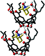 Graphical abstract: Supramolecular stabilization of hydroxylamine TEMPOH by complexation with an amphiphilic calixarene