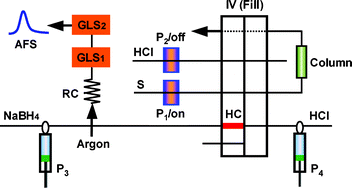 Graphical abstract: Flow injection on-line solid phase extraction for ultra-trace lead screening with hydride generation atomic fluorescence spectrometry