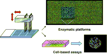 Graphical abstract: Microarray platforms for enzymatic and cell-based assays