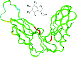 Graphical abstract: NMR studies of interactions between periplasmic chaperones from uropathogenic E. coli and pilicides that interfere with chaperone function and pilus assembly