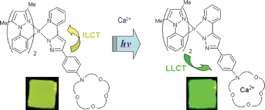 Graphical abstract: Design and synthesis of iridium(iii) azacrown complex: application as a highly sensitive metal cation phosphorescence sensor