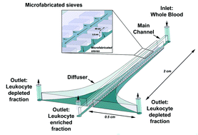 Graphical abstract: Microfluidic diffusive filter for apheresis (leukapheresis)