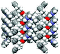 Graphical abstract: Polymorphs of 4′-(hex-5-ynyloxy)-2,2′:6′,2″-terpyridine: structural diversity arising from weak intermolecular interactions in the solid state