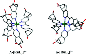 Graphical abstract: Stereoselectivity in the formation of tris-diimine complexes of Fe(ii), Ru(ii), and Os(ii) with a C2-symmetric chiral derivative of 2,2′-bipyridine