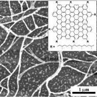 Graphical abstract: Self-organized nanofibers from a giant nanographene: effect of solvent and deposition method