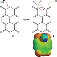 Graphical abstract: Mechanism of 1,4,5,8-naphthalene tetracarboxylic acid dianhydride hydrolysis and formation in aqueous solution