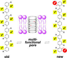 Graphical abstract: New staves for old barrels: regioisomeric (12,22,33,42,53,62,73,82)-p-octiphenyl rods with an NMR tag