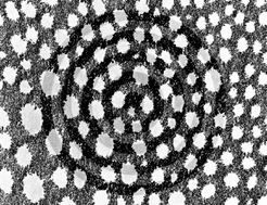 Graphical abstract: Insights into hierarchically meso–macroporous structured materials