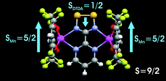 Graphical abstract: Synthesis and magnetic properties of a 4-(2′-pyrimidyl)-1,2,3,5-dithiadiazolyl dimanganese complex