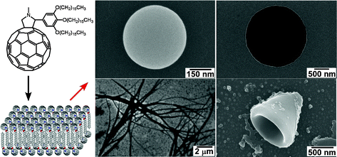 Graphical abstract: Hierarchical supramolecular fullerene architectures with controlled dimensionality