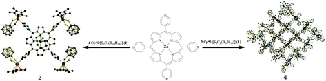 Graphical abstract: Porphyrin–carborane organometallic assemblies based on 1, 2-dicarba-closo-dodecaborane (12) ligands