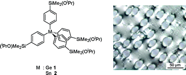 Graphical abstract: The van der Waals induced supramolecular organization of hydrophobic tetrahedral units in the course of hydrolytic polycondensation