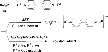 Graphical abstract: Dramatic effect of N-substituents in viologens on single electron transfer from tributylphosphine