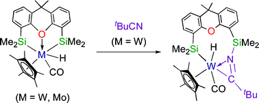Graphical abstract: Group 6 metal complexes with a hemilabile tridentate xantsil ligand and facile insertion of tBuCN into a W–Si bond [xantsil = (9,9-dimethylxanthene-4,5-diyl)bis(dimethylsilyl)]