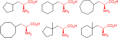 Graphical abstract: New routes to β-cycloalkylalanine derivatives using serine-derived organozinc reagents