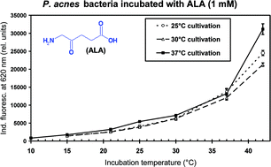 Graphical abstract: The temperature dependence of porphyrin production in Propionibacterium acnes after incubation with 5-aminolevulinic acid (ALA) and its methyl ester (m-ALA)