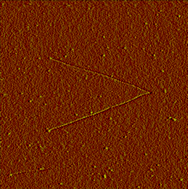 Graphical abstract: Single-walled carbon nanotube growth using [Fe3(µ3-O)(µ-O2CR)6(L)3]n+ complexes as catalyst precursors