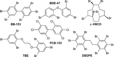 Graphical abstract: Aquatic Processes and Systems in Perspective Brominated flame retardants in the environment