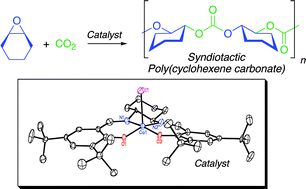 Graphical abstract: Copolymerization of cyclohexene oxide and carbon dioxide using (salen)Co(iii) complexes: synthesis and characterization of syndiotactic poly(cyclohexene carbonate)