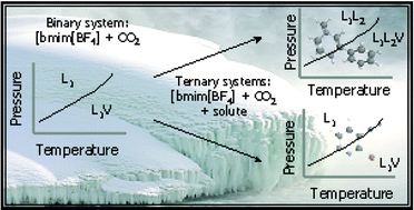 Graphical abstract: Solubility of carbon dioxide in systems with [bmim][BF4] and some selected organic compounds of interest for the pharmaceutical industry