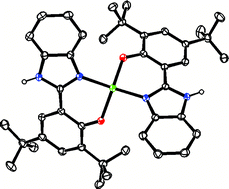 Graphical abstract: Phenoxyl radicals: H-bonded and coordinated to Cu(ii) and Zn(ii)