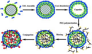 Graphical abstract: Synthesis and functionalization of monodisperse poly(ethylene glycol) hydrogel microspheres within polyelectrolyte multilayer microcapsules