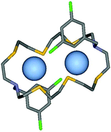 Graphical abstract: Synthesis of diazahexathia-24-crown-8 derivatives and structures of Ag+ complexes