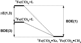 Graphical abstract: Computational study of the energetics of 3Fe(CO)4, 1Fe(CO)4 and 1Fe(CO)4(L), L = Xe, CH4, H2 and CO