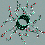 Graphical abstract: Utilizing polymers for shaping the interfacial behavior of carbon nanotubes