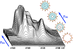 Graphical abstract: Vibrational and thermodynamic properties of Ar, N2, O2, H2 and CO adsorbed and condensed into (H,Na)-Y zeolite cages as studied by variable temperature IR spectroscopy