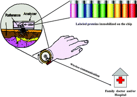 Graphical abstract: Glucose biosensors as models for the development of advanced protein-based biosensors