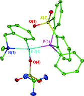 Graphical abstract: Structure and reactivity of new phosphine ligands containing the hemi-labile sulfone moiety