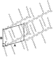 Graphical abstract: The longest oligothiophene ever examined by X-ray structure analysis