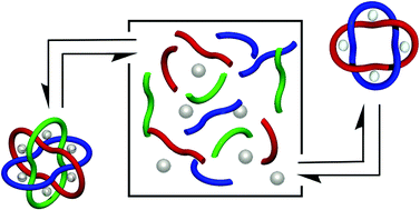 Graphical abstract: Template-directed synthesis employing reversible imine bond formation