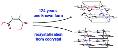 Graphical abstract: Investigating the latent polymorphism of maleic acid