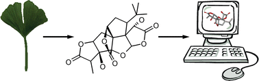 Graphical abstract: Natural products: sources and databases