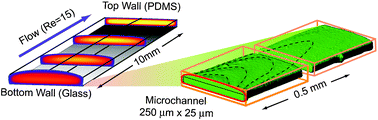 Graphical abstract: Flow-induced deformation of shallow microfluidic channels