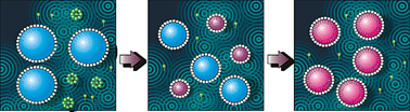 Graphical abstract: RAFT mediated polymerisation in heterogeneous media