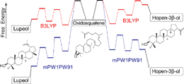 Graphical abstract: Mechanistic insights into triterpene synthesis from quantum mechanical calculations. Detection of systematic errors in B3LYP cyclization energies