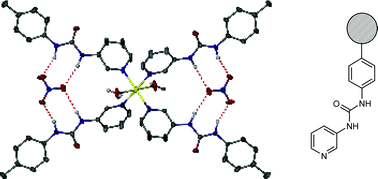 Graphical abstract: Simultaneous anion and cation binding by a simple polymer-bound ureidopyridyl ligand