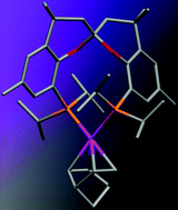 Graphical abstract: SPANphos: trans-spanning diphosphines as cis chelating ligands!