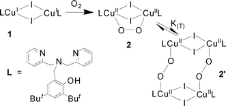 Graphical abstract: Synthesis, structure and dioxygen reactivity of a bis(µ-iodo)dicopper(i) complex supported by the [N-(3,5-di-tert-butyl-2-hydroxybenzyl)-N,N-di-(2-pyridylmethyl)]amine ligand