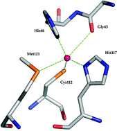 Graphical abstract: Active site structures and the redox properties of blue copper proteins: atomic resolution structure of azurin II and electronic structure calculations of azurin, plastocyanin and stellacyanin