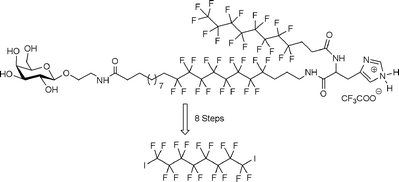 Graphical abstract: Synthesis and preliminary biological studies of hemifluorinated bifunctional bolaamphiphiles designed for gene delivery