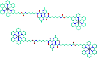 Graphical abstract: Light-emitting iridium(iii) and ruthenium(ii) polypyridyl complexes containing quadruple hydrogen-bonding moieties